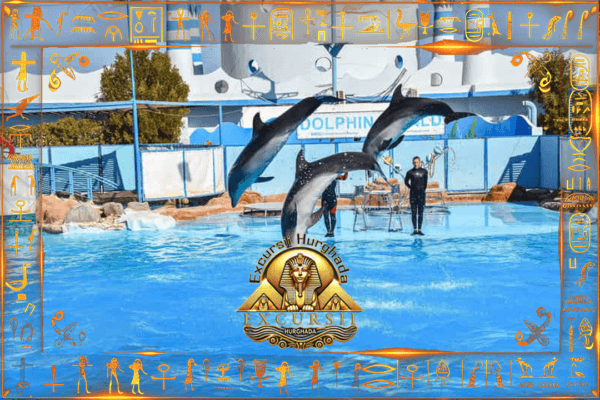 Spectacol cu ​​delfini Hurghada + Înot cu delfini - imagine 3