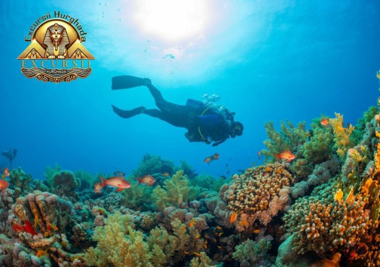 El Fanadir – Comoara ascunsă a scufundărilor din Hurghada