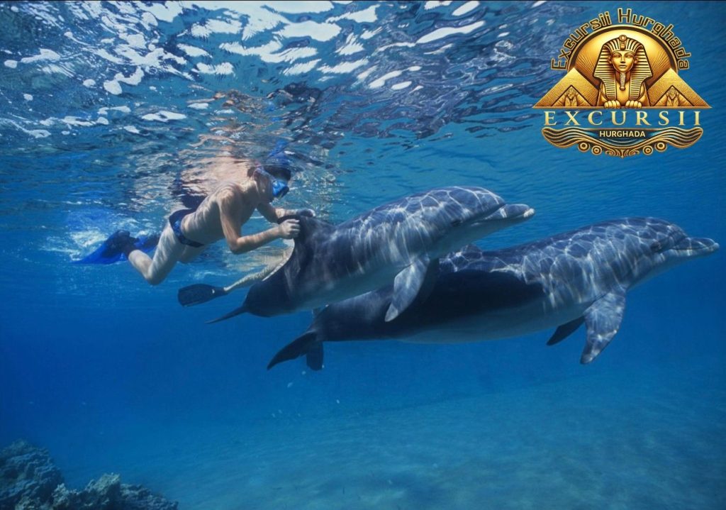 Copil înotând cu delfinii – Ghid Complet: Hurghada cu Copiii