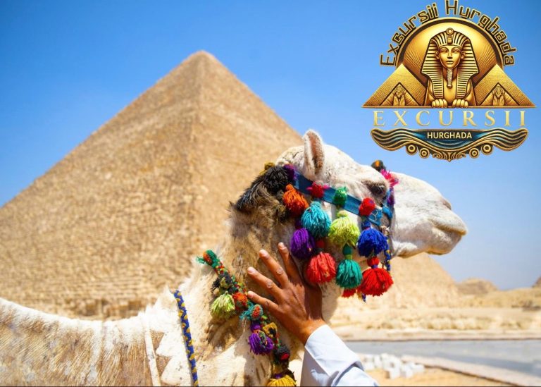 O camilă decorată tradițional stând în fața Marii Piramide în timpul unei experiențe de tipul Prima Excursie la Cairo.